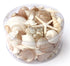 extra large premium pearl champagne white mixed seashell pack